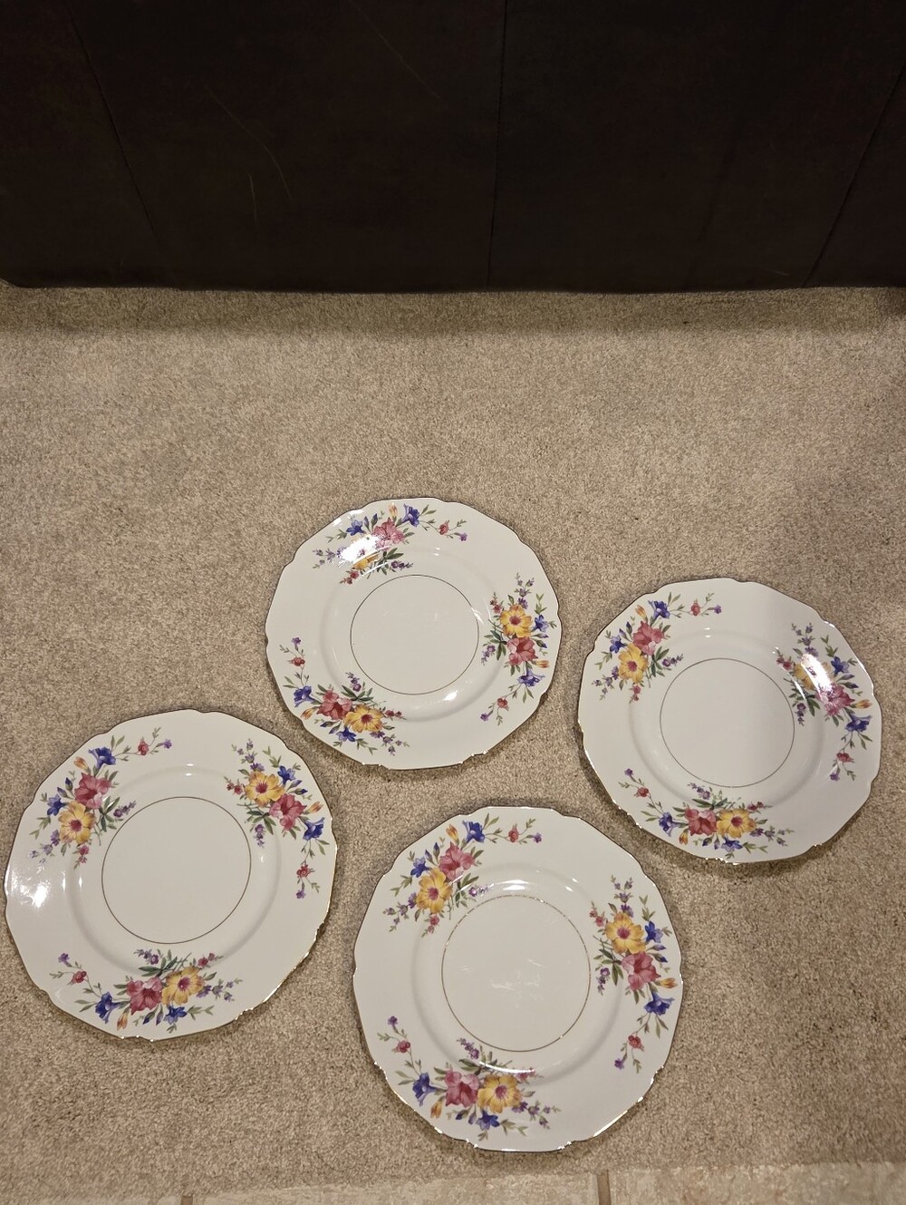 Vintage U.S. Zone German China Dinner Plates